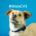 CVS GROUP PLC logo